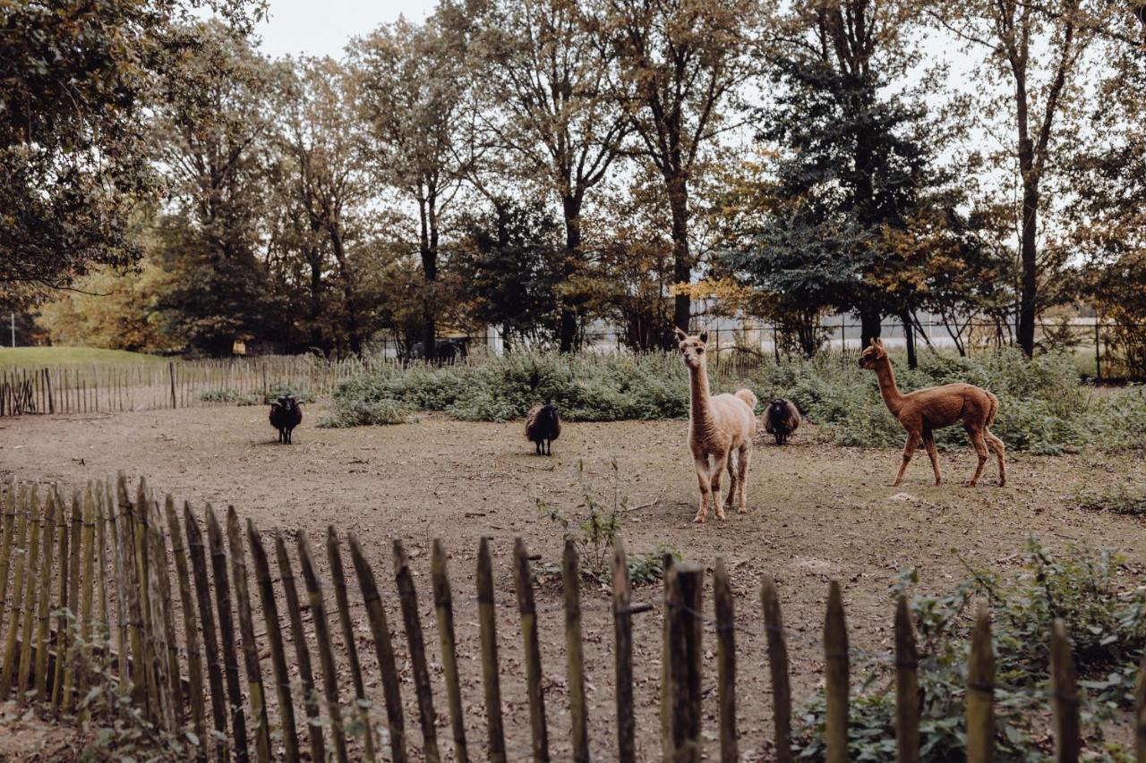 Het Hilkensberg Park Villa Broekhuizen  ภายนอก รูปภาพ